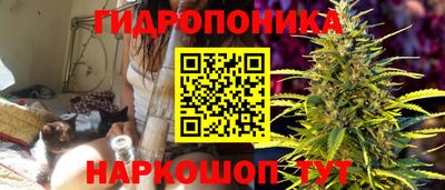 a pvp Волжск