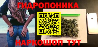 крисы Волгодонск