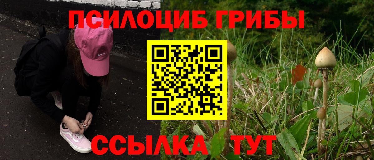 Псилоцибиновые грибы GOLDEN TEACHER  Вход с VPN  Шелехов  Галлюциногенные грибы Psilocybine cubensis 