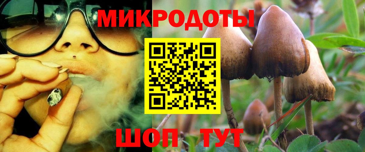 Галлюциногенные грибы Magic Shrooms Шелехов